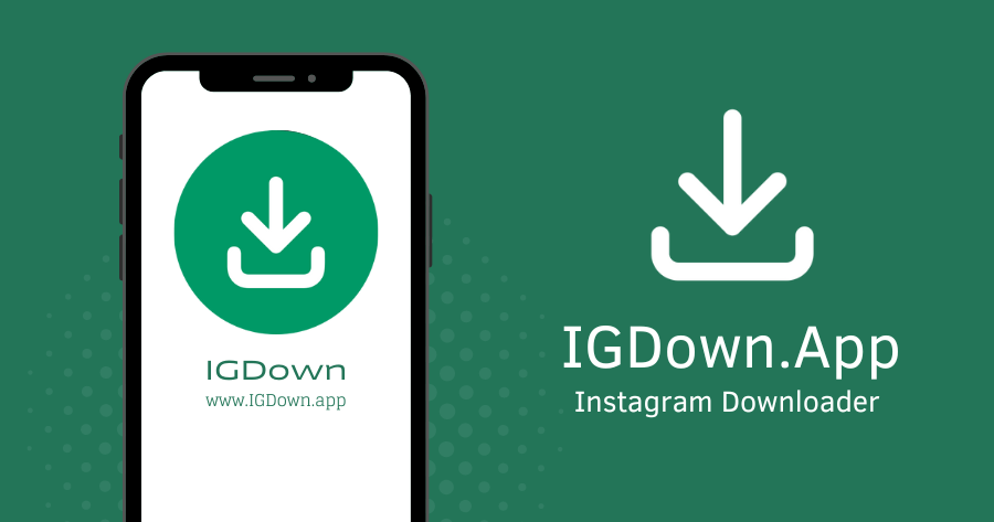 IGDown: Instagram Video Downloader